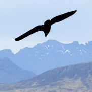 Concession Membership of the Scottish Centre for Geopoetics