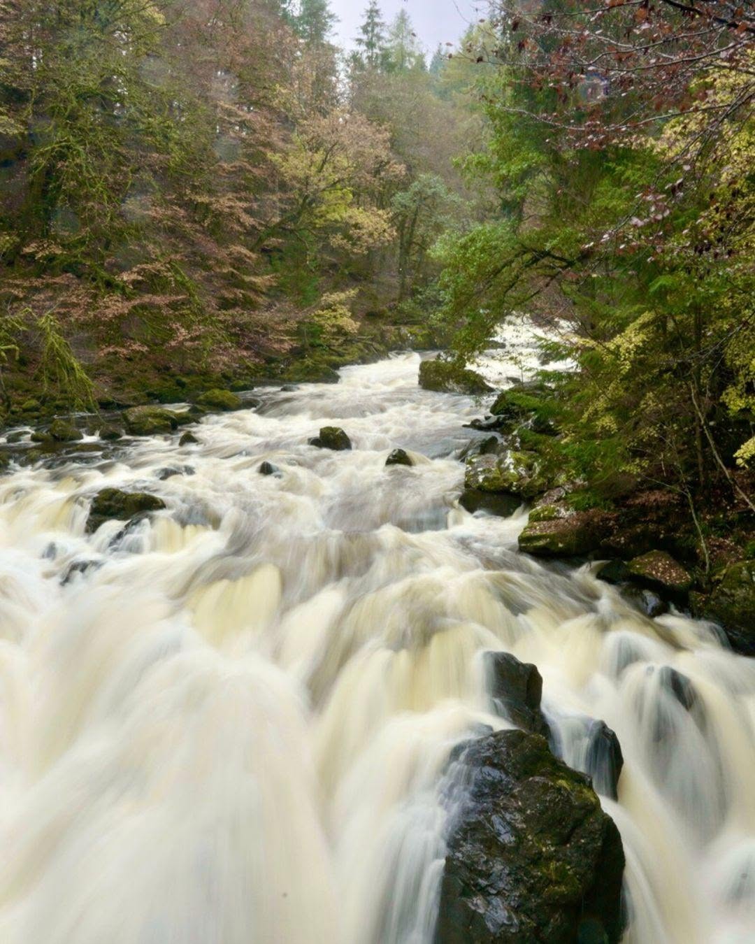 A river in spate through autumn woodland