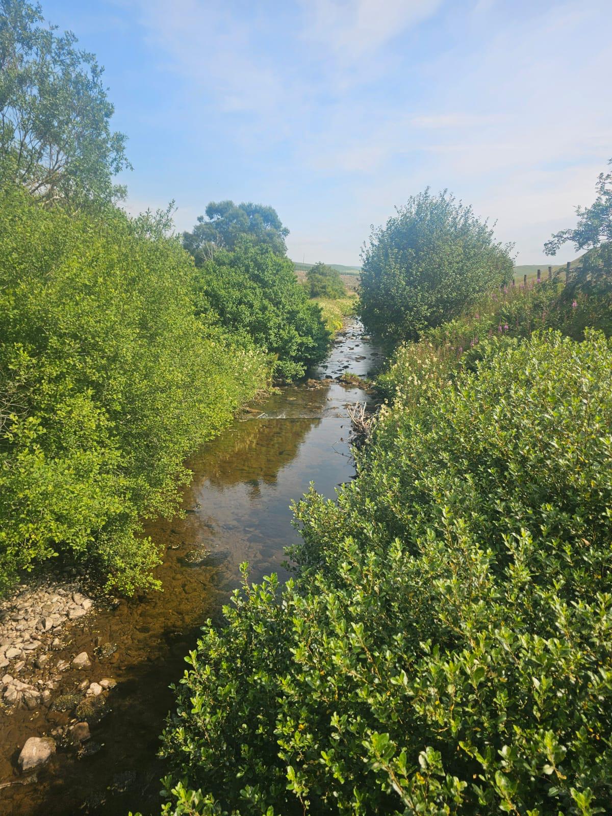 A river in spate through autumn woodland
